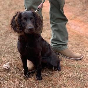 Meet your Posher, Bryce